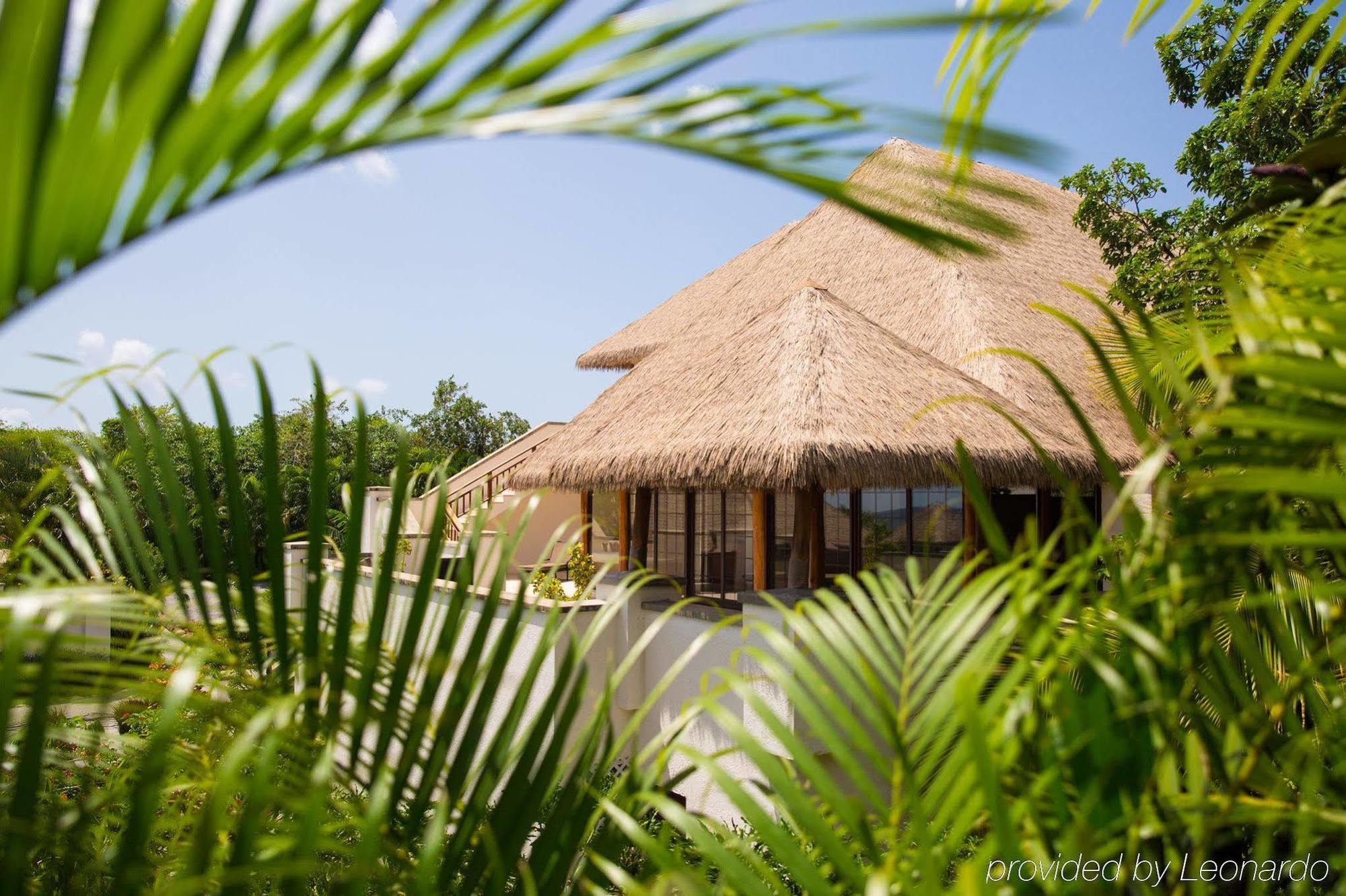 Paradise Beach เนวิส ภายนอก รูปภาพ