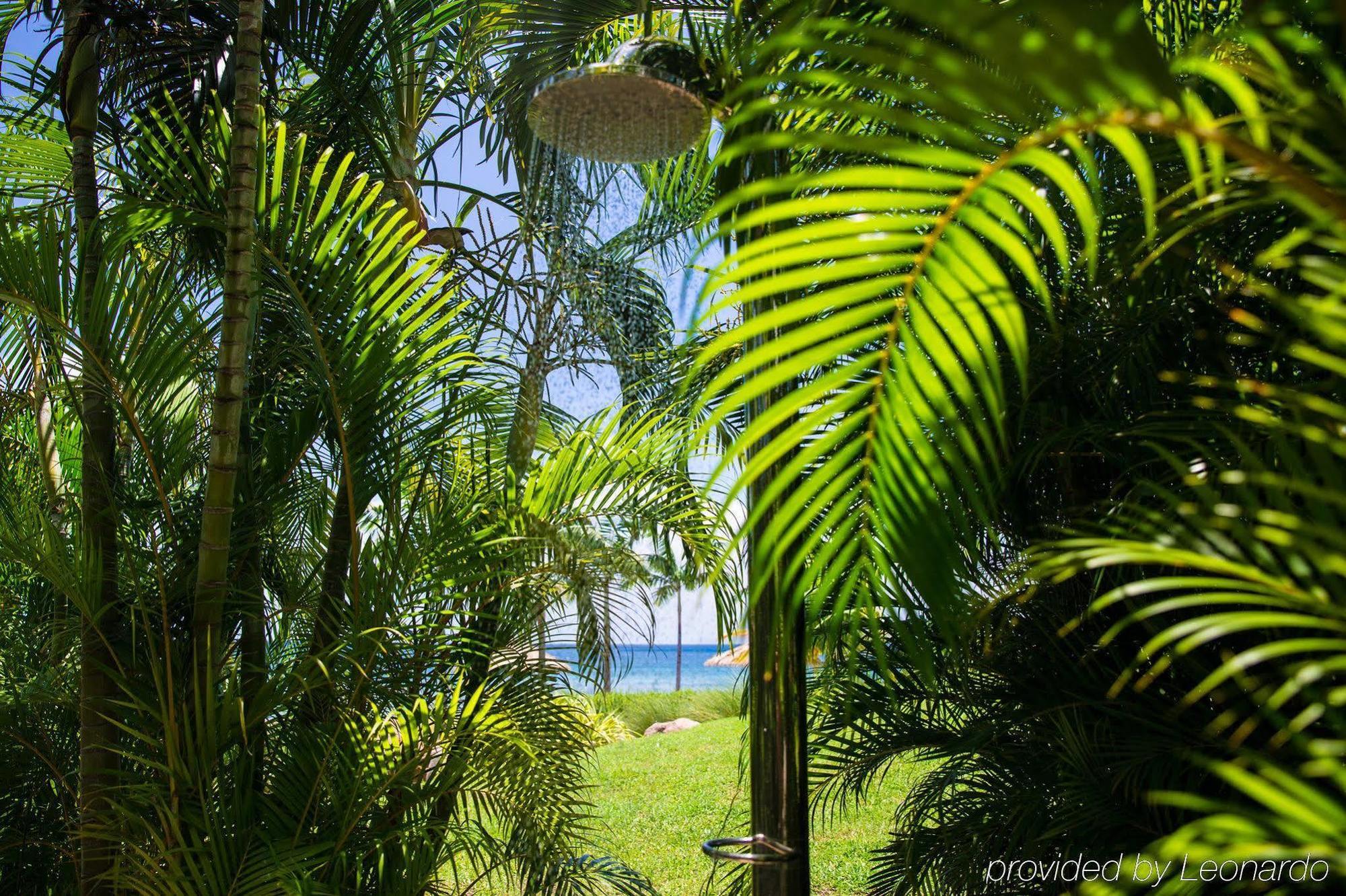 Paradise Beach เนวิส ภายนอก รูปภาพ